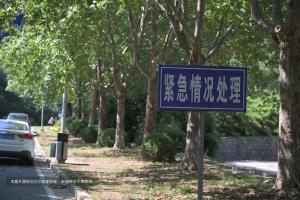 2024科四通关攻略!