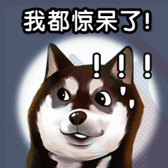 学车时的趣事,教练都笑哭了!