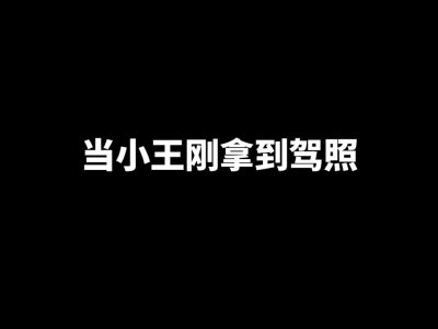 瞧!这就叫《刚 拿 驾 照 的 你》!