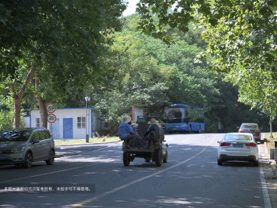 驾校教练的经典语录,句句真实!
